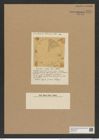 Aulacodiscus radiosus Grove et Sturt (de-Toni-Nr.: Genus 182, Species 4513) Zeichnungen Sammlung Grunow Nr. 8084 (NHMW-BOT-W0377415)